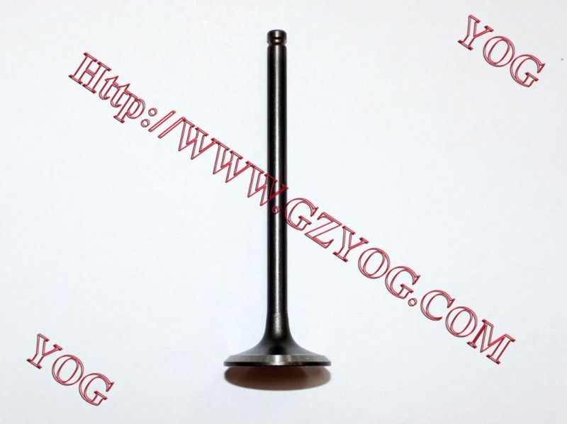 Yog Motorcycle Spare Parts Valve for Bajaj Bm100esks Bm150 Boxer Cg125
