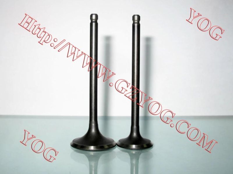 Yog Motorcycle Spare Parts Engine Parts Valve for Bajajbm100esks Titan150 C125