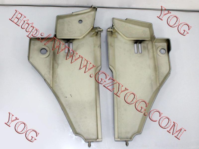 Motorcycle Spare Parts Oil Tank Fuel Tank Side Cover for Skr 200