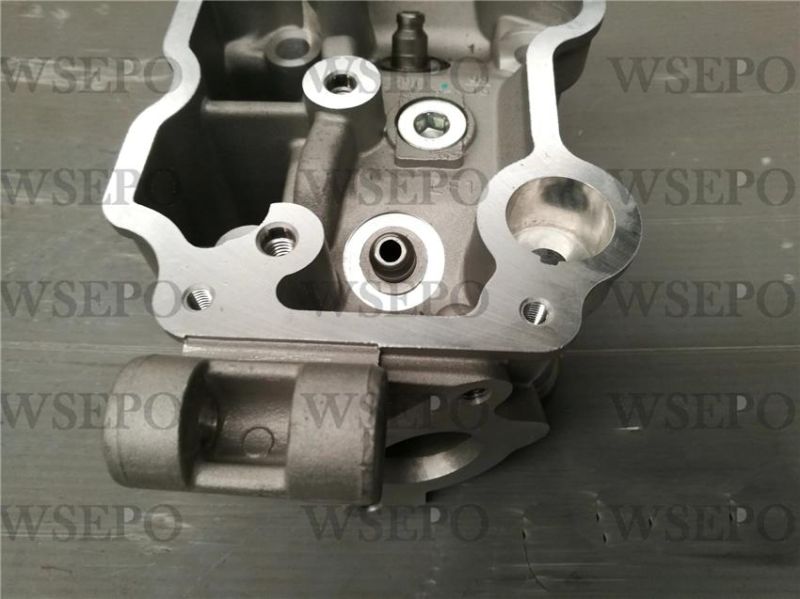 Cg200 Water Cool Cylinder Head Fits for Zongshen Loncin Lifan Xingyuan Yinxiang 200cc Type Motorcycle