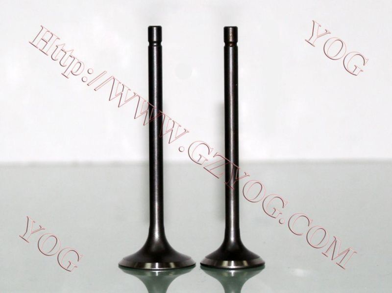 Motorcycle Engine Valve Kit Valvulas GS125 En125 Cg125