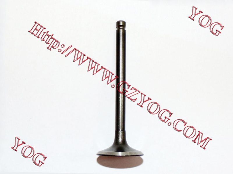Motorcycle Valve for Outlook-150/CD110