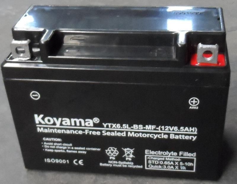 12n6.5-3b 12V6.5ah Hotsell Motorcycle Batteries for Bolivia