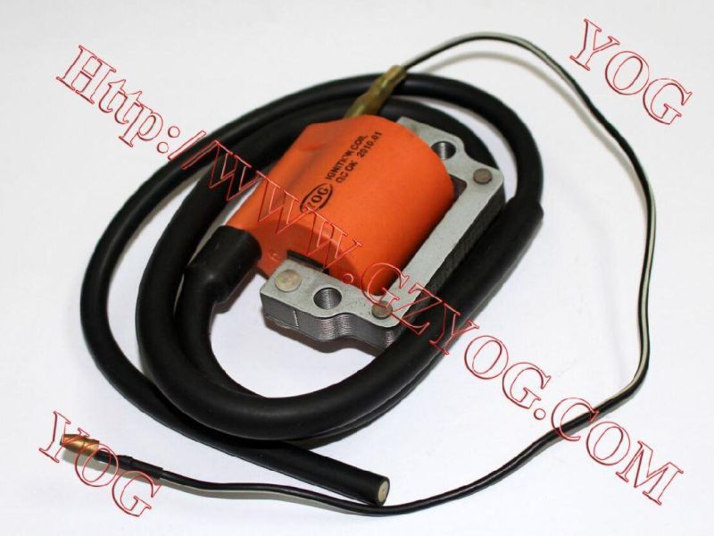 Motorcycle Parts Ignition Coil Ignition Comp. for Yb50/50cc and Other Various Models