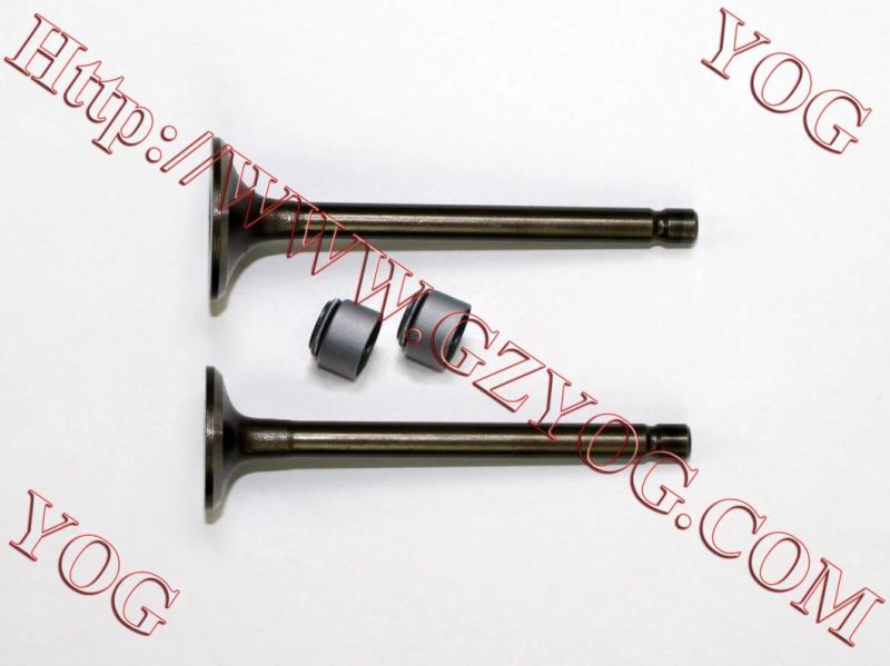 Yog Motorcycle Spare Parts Valve and Oil Seal for Tvs Star Bajaj Bm100esks An125