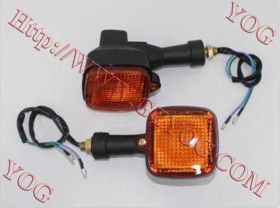Motorcycle Spare Parts Turning Light Winker Lamp Pathway Indicator Cgw125 Elegant Dt200