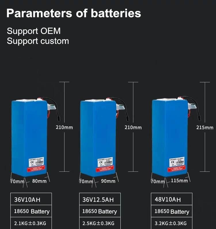 E-Bike 36V 48V 20ah Lithium Ion Battery for Ebike Electric Bike