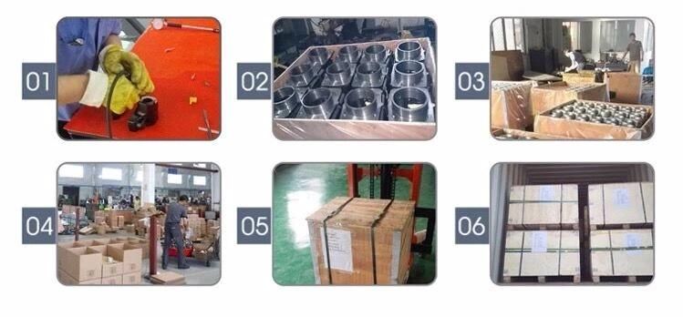 Low Pressure Cast Agriculture Aluminium Crankcase Casting