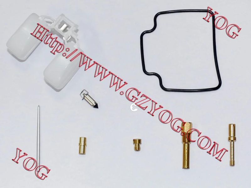 Motorcycle Parts Carburetor Repair Kit for Ax100 Dy100 Cg200