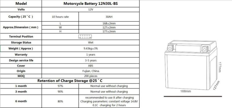 TCS Motorcycle Battery Sealed Maintenance Free 12N30L-BS