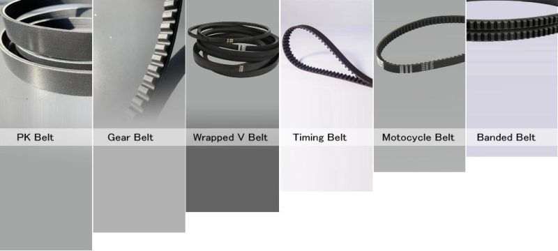 6pk1665 for Peugeot Car KIA Car Belt Rubber Belt Fan Belt Pk Belt