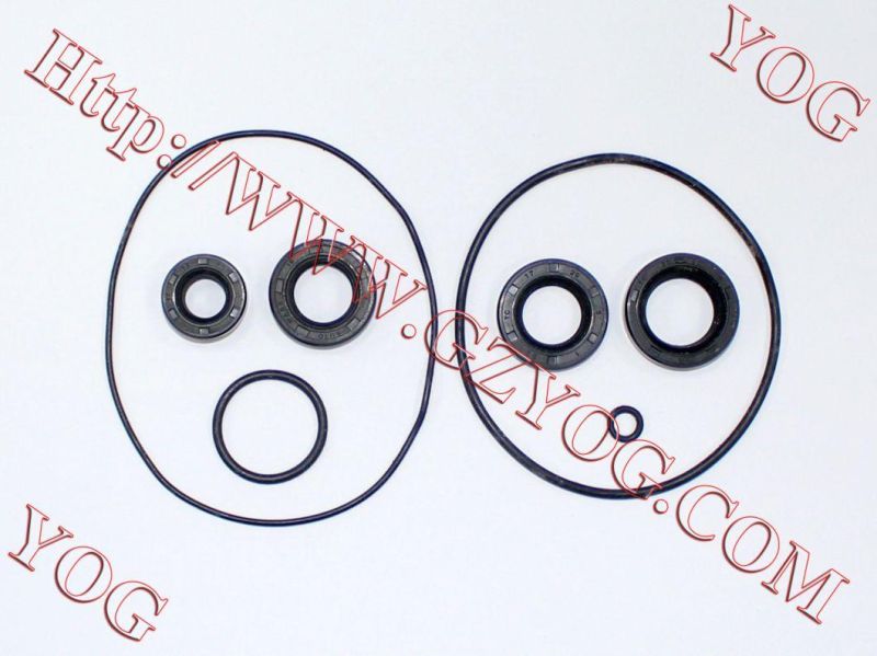 Motorcycle Engine Oil Seal Kit Dy100 Bm100 Cbf150