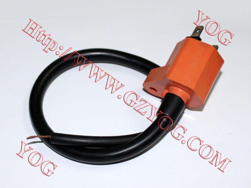 Motorcycle Ignition Coil Bobina Alta Ax100 Jh70 CD70