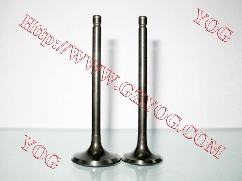 Yog Motorcycle Spare Parts Valve for C125 Titan02 Ugboss125