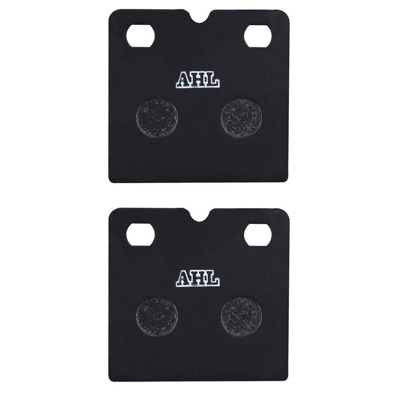 Fa18 Motorcycle Brake Pad for Benelli 750 900 BMW K1200RS