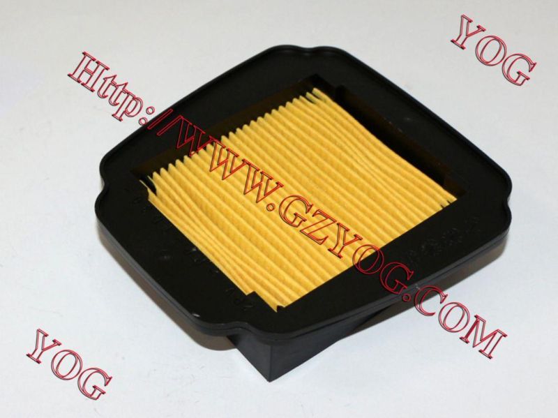 Motorcycle Parts Motorcycle Air Cleaner for Borss/Titan150