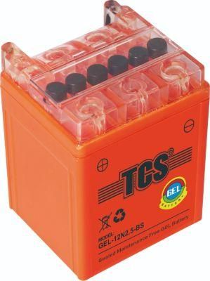 TCS Motorcycle Gel Maintenance Free Battery GEL-12N2.5