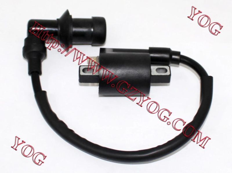 Motorcycle Parts Ignition Coil Gy6-125/Cg125