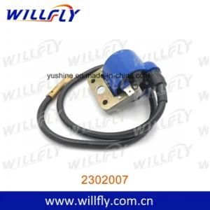 Scooter Ignition Coil for Gilera, Piaggio