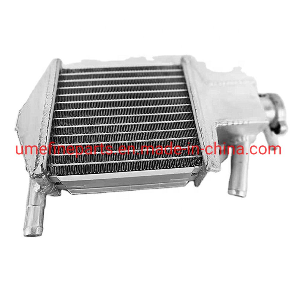 Wholesale Motorcycle Cooling Systems Radiator Motorcycle Spare Parts for Honda Vario125 Vario150