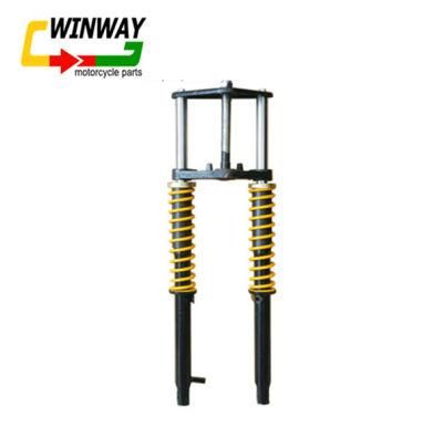 Ww-2065 Dayun150 Motorcycle Parts Front Fork Assembly Shock Absorber