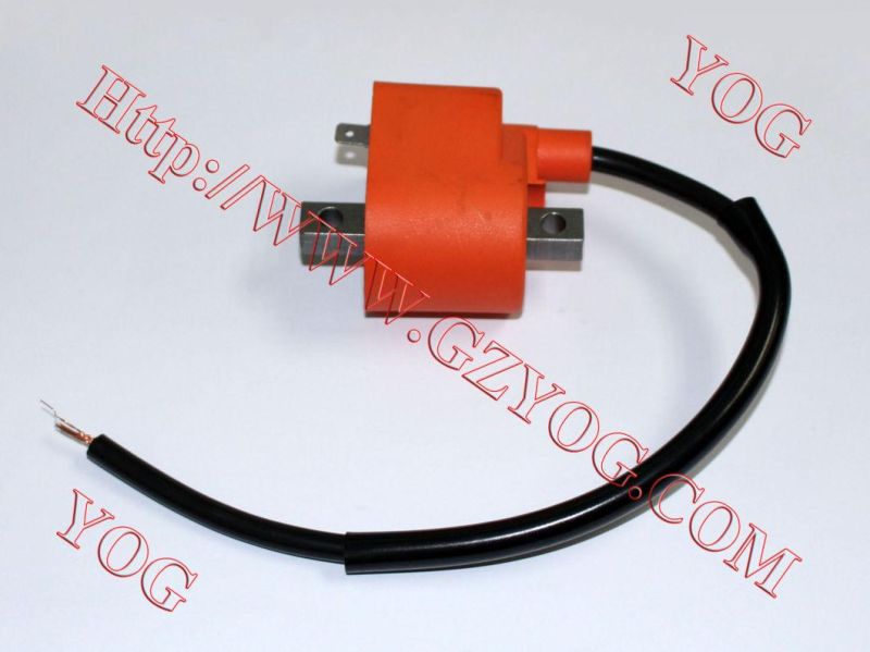 Motorcycle Spare Parts Motorcycle Electric Ignition Coil Gn125 GS125 Gy6125