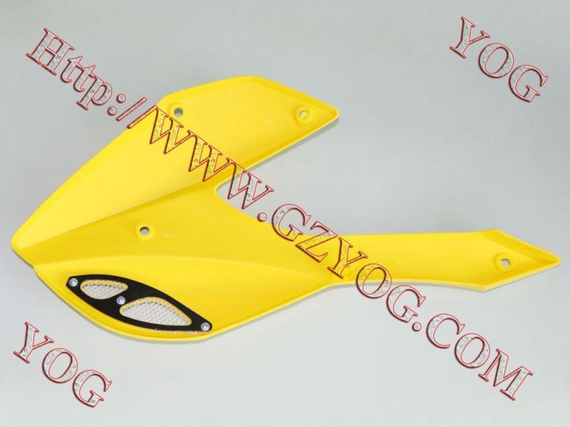 Motorcycle Spare Parts Oil Tank Fuel Tank Side Cover for Traxx150 Gxt200