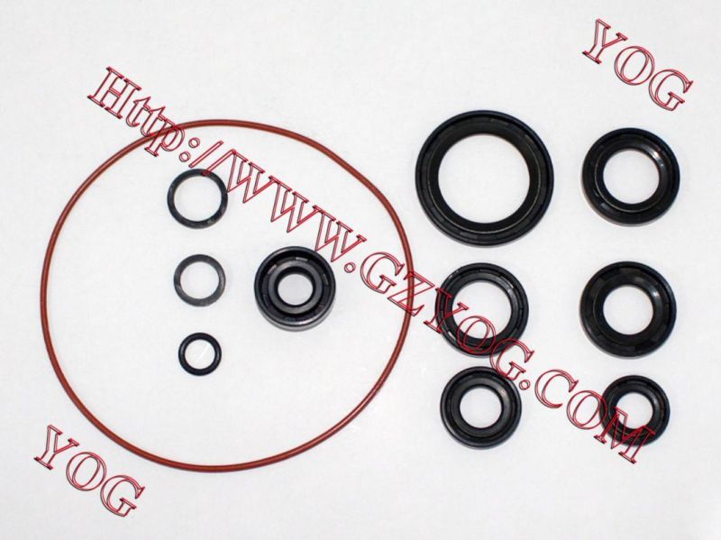 Motorcycle Engine Oil Seal Kit Dy100 Bm100 Cbf150