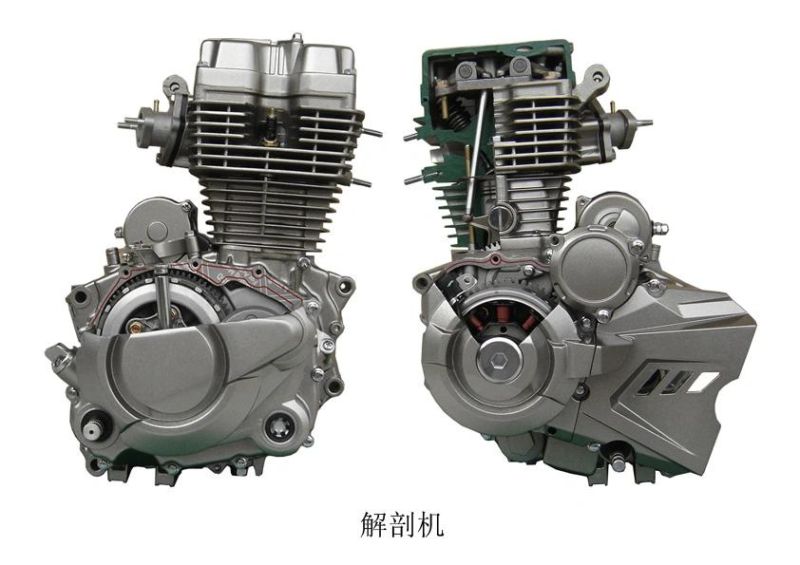 Fenghao Motorcycle Engine Gold Diamond Style Cg Model
