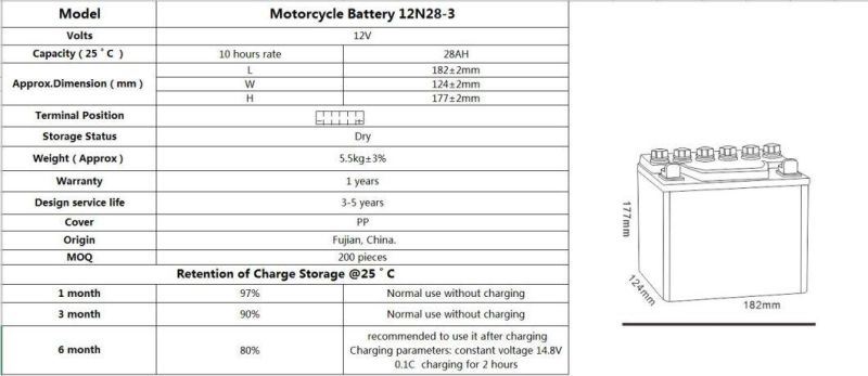 TCS  Dry Charged Lead Acid  Motorcycle Battery 12N28-3