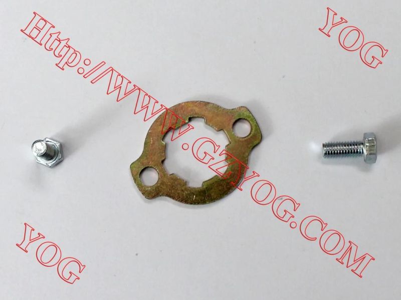 Yog Motorcycle Parts Fixing Plate Front Sprocket for Honda Suzuki Bajaj