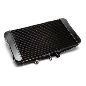 Frdhd011 Motorcycle Parts Aluminum Radiator for Honda Bors400 88-90