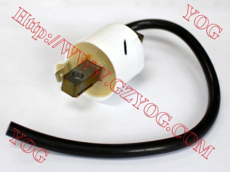 Yog Motorcycle Spare Parts Ignition Coil for Ax100, Tvs Star Hlx125, , Xls125