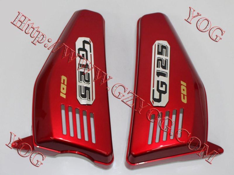 Motorcycle Spare Parts Body Side Cover Horse Wy Cgl