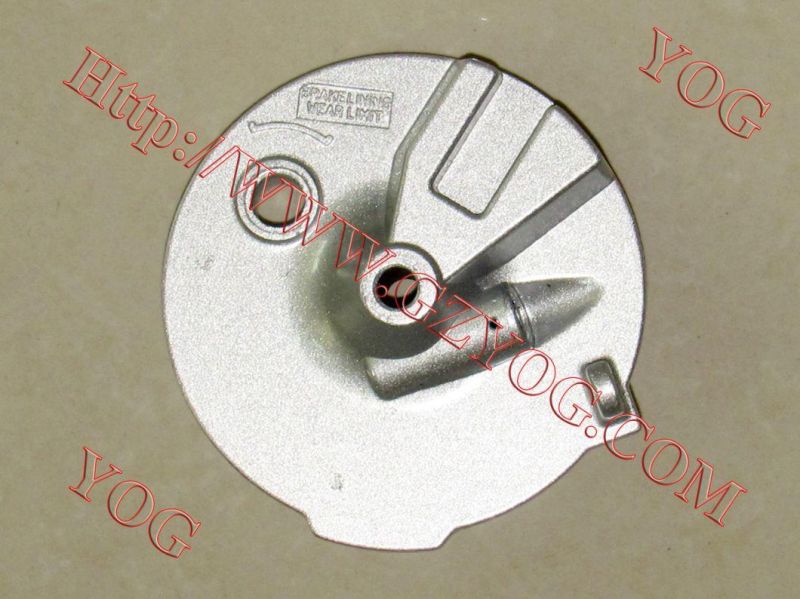 Motorcycle Rear Hub Cover Assy Xy200 Cbt125 Nxr125