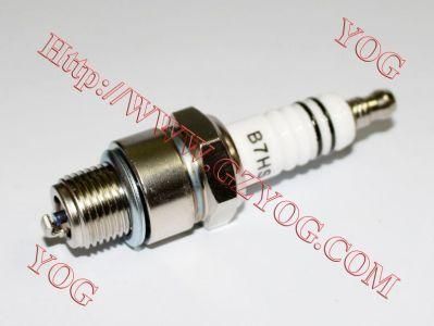 Motorcycle Spare Part Engine Parts Spark Plug D8tc B7HS F5tc