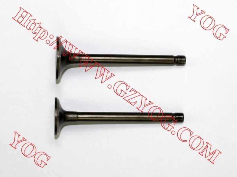 Yog Motorcycle Spare Parts Engine Parts Valve for Bajajbm100esks Titan150 C125