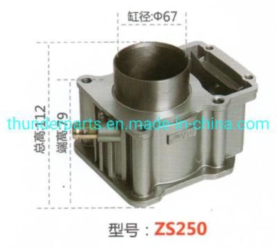 Motorcycle Cylinder Block Kit for Zs250 67mm