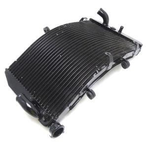 Frdhd030 Motorcycle Parts Aluminum Radiator for Honda Cbr600f4I 01-07