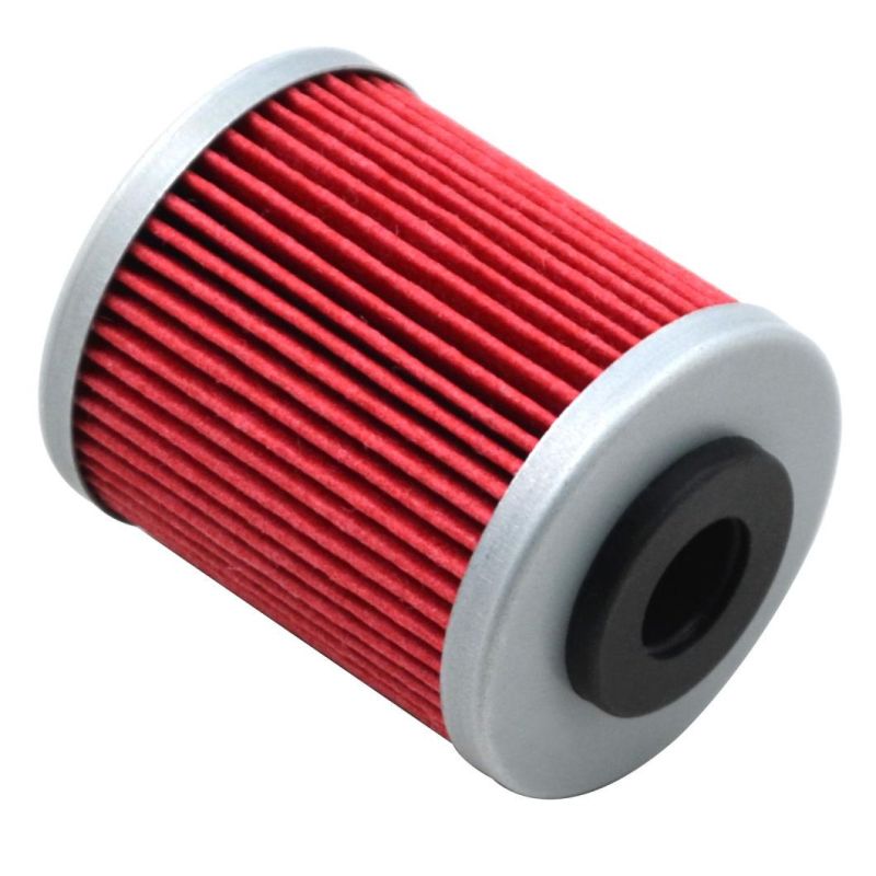 China Plant Engine Oil Filter for Ktm 701 Enduro Supermoto