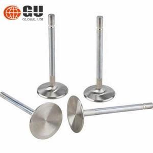 China Egnine Valve Manufacturers for ATV /Motorcycle /Motorbike