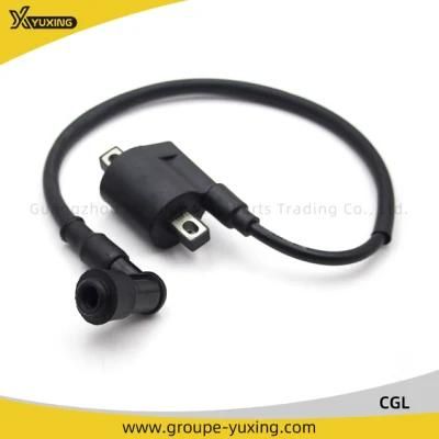 Motorcycle Accessories Motorcycle Parts Motorcycle Ignition Coil for Cgl