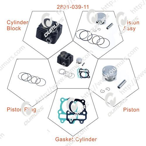 Motorcycle Parts Footrest Bracket Rear Fork for Bajaj Boxer CT100
