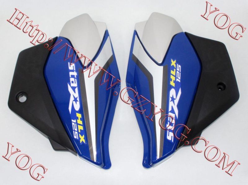 Yog Motorcycle Parts Motorcycle Side Penal for Suzuki Gn125h