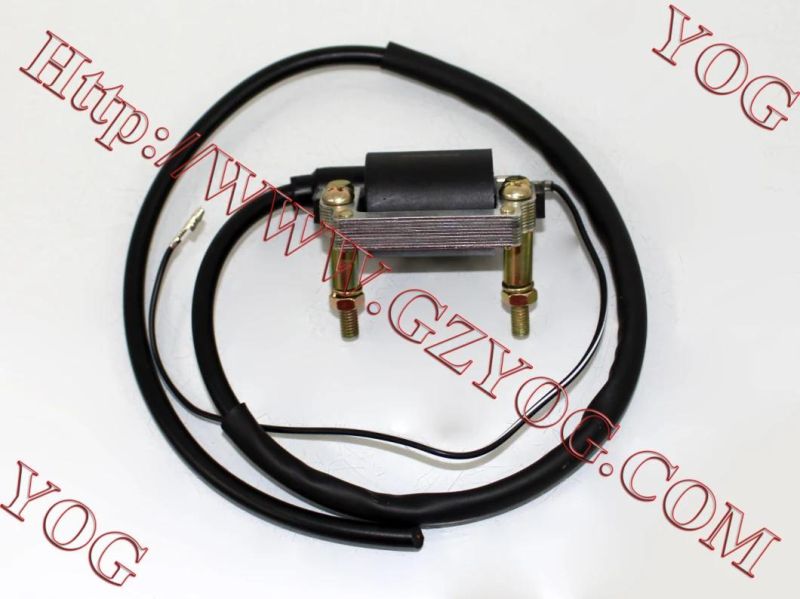 Yog Motorcycle Parts Motorcycle Ignition Coil for Honda Dream