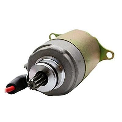 Gy6-125 OEM Quality 12V Motorcycle Starter Motor Motorcycle Parts