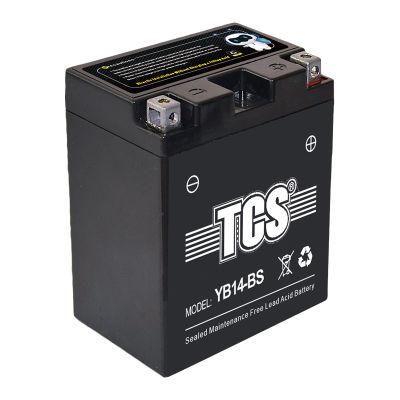 TCS Sealed Maintenance Free Motorcycle Battery YB14-BS