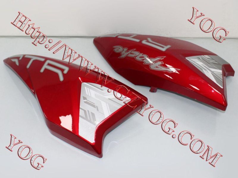 Motorcycle Spare Parts Oil Tank Fuel Tank Side Cover for Traxx150 Gxt200