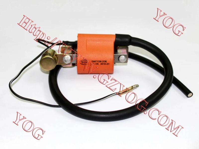 Yog Motorcycle Spare Parts Ignition Coil for Ax100, Tvs Star Hlx125, , Xls125