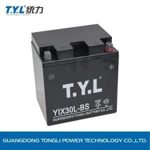 12V30ah Wet Charged Motorcycle Power Battery Maintenance Free Lead Acid Battery